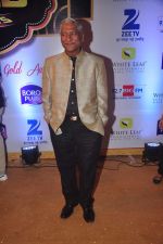 at Gold Awards in Filmistan on 4th June 2015